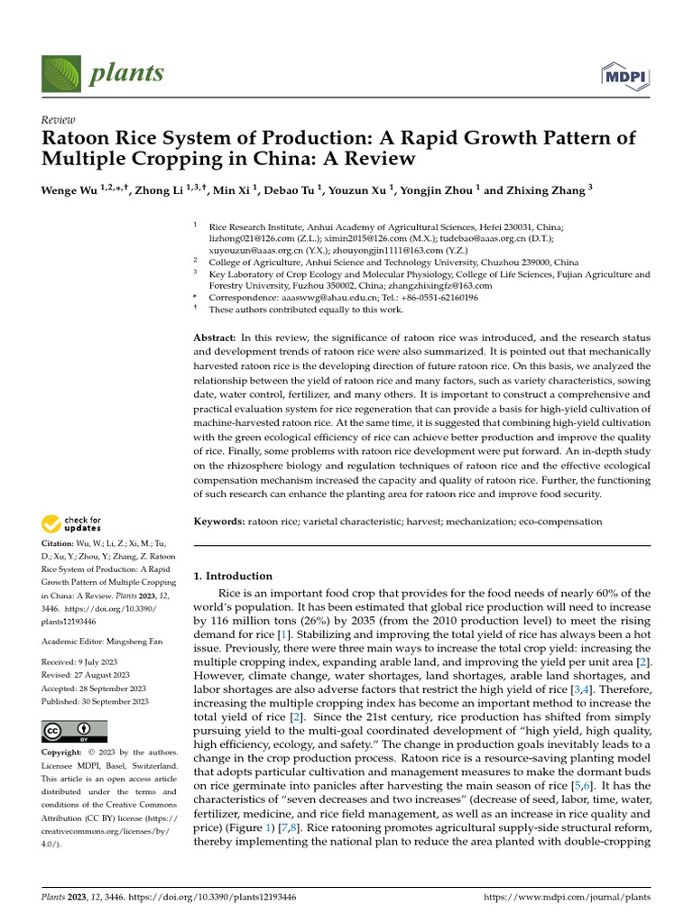 Ratoon_Rice_System_of_Production_A_Rapid_Growth_Pa | PDF | Rice ...