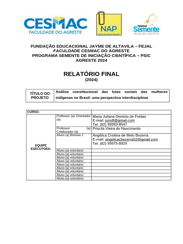Relatório Final PSIC | PDF | Povos indígenas | Brasil
