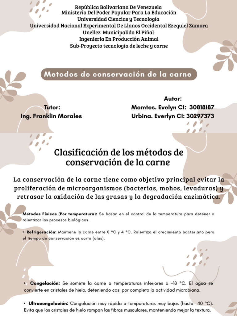 Conservación de La Carne. Urbina Everlyn y Montes Evelyn | PDF | Carne ...