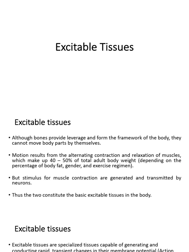 APH 102, Excitable Tissues - Muscle | PDF | Muscle | Muscle Contraction