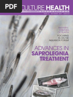 Amit Kumar Sinha - Nutrizyme - Aquaculture Health