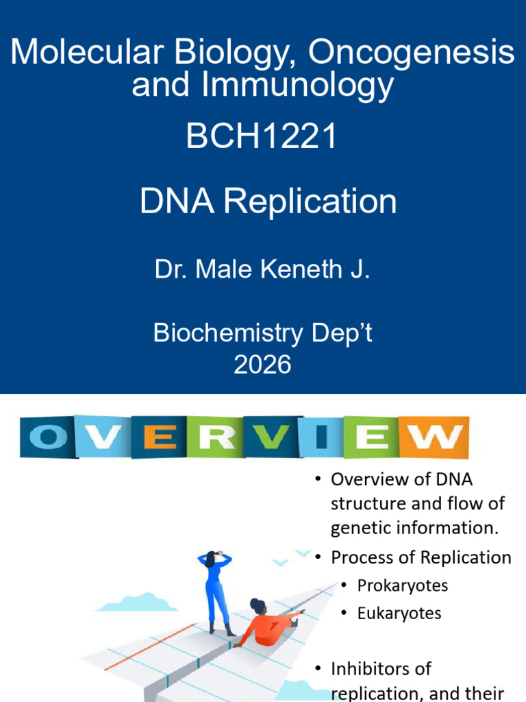 DNA Structure and Introduction To DNA Replication | PDF | Dna | Base Pair