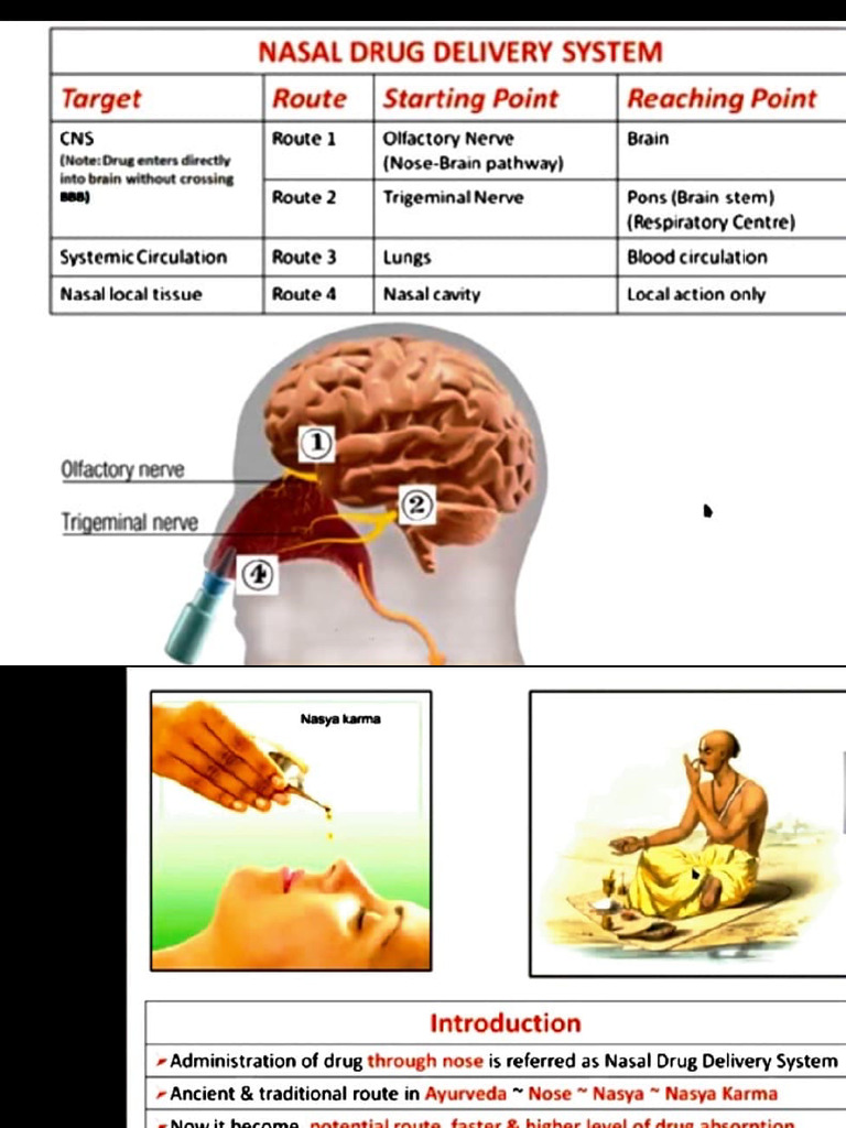 Naso Pulmonary Intro and Formulation of Inhalers | PDF