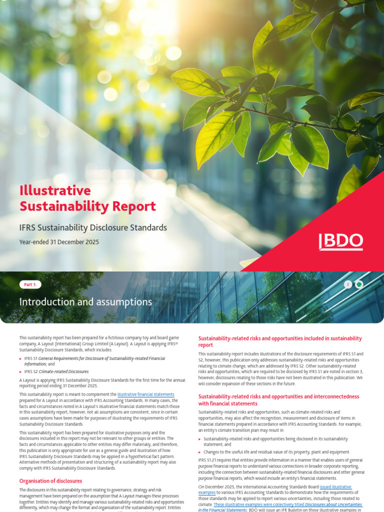 Illustrative Sustainability Report 2025 | PDF | International Financial ...