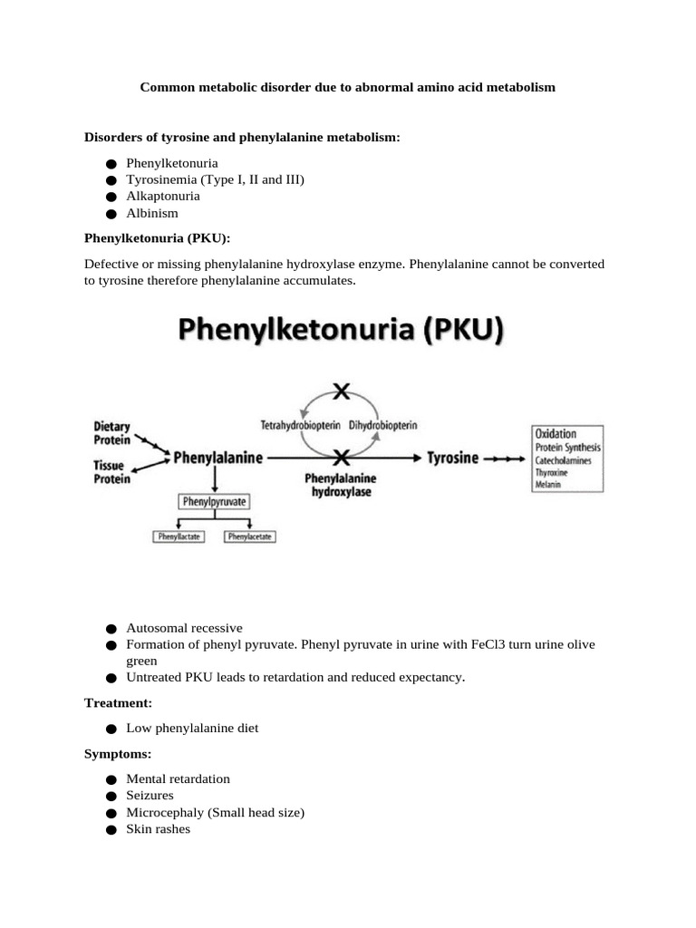 Common Metabolic Disorder Due To Abnormal Amino Acid Metabolism | PDF ...