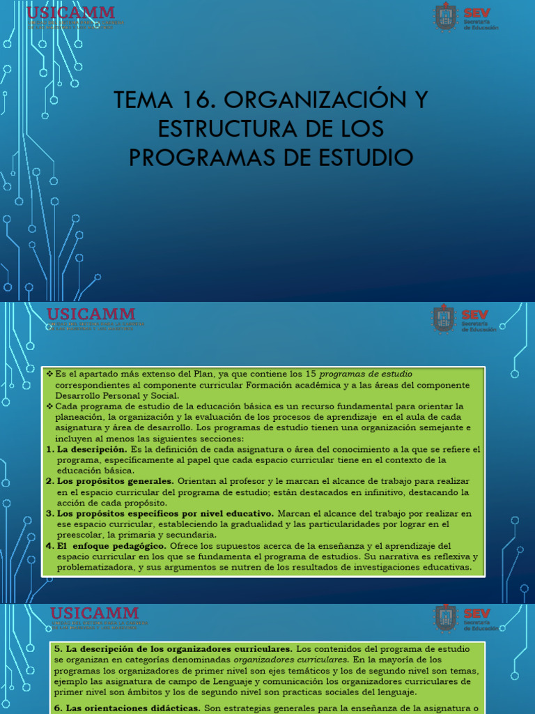 Organizacion y Estructura de Los Programas de Estudio | PDF | Educación ...