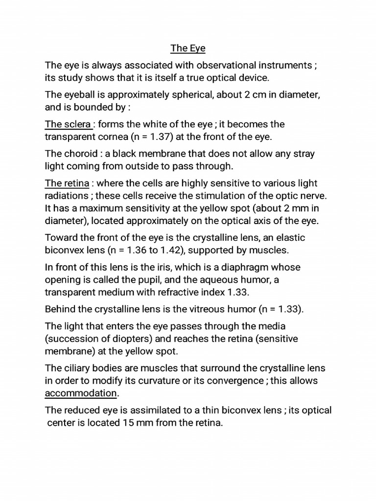 Eye | PDF