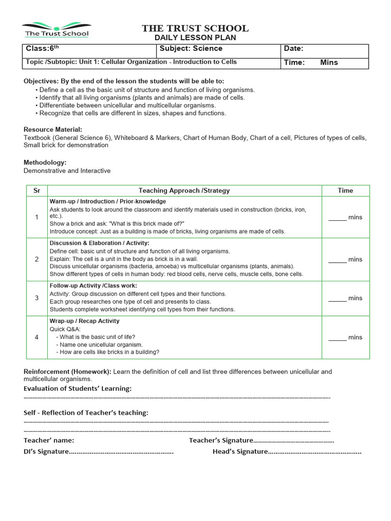 6th Class Lesson Plan | PDF | Cell (Biology) | Endoplasmic Reticulum