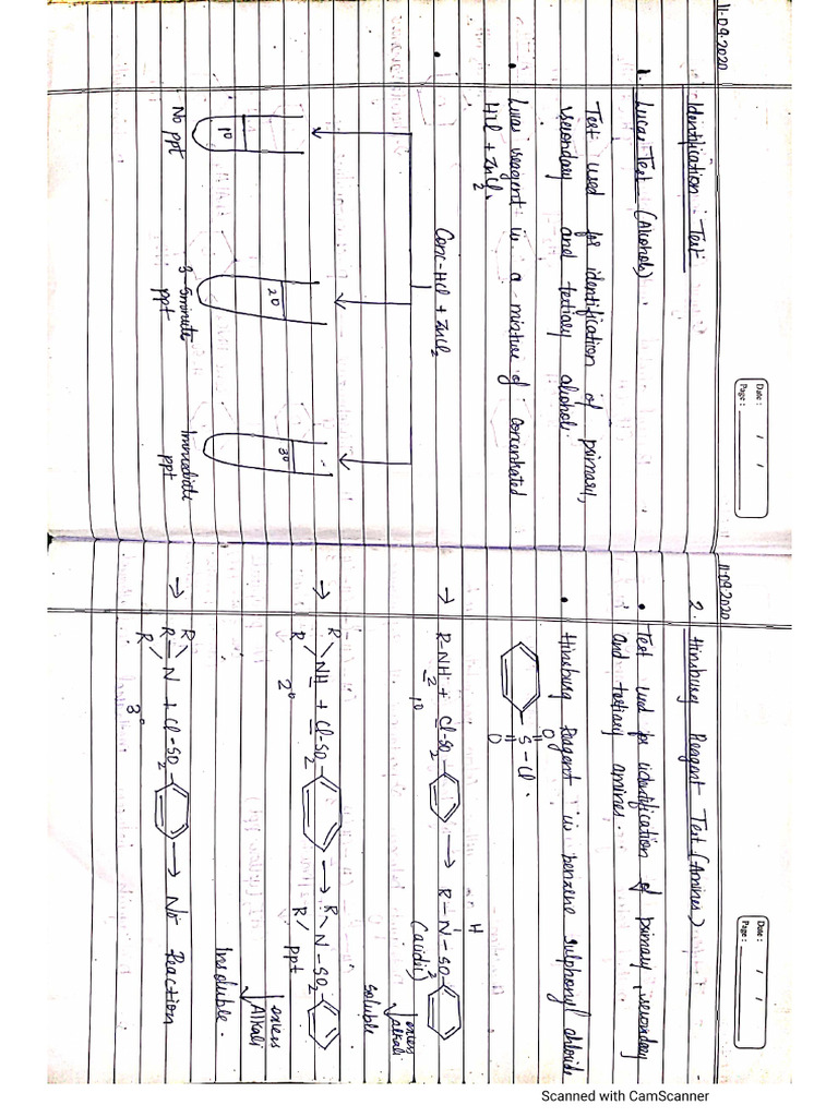 Organic Identification Test | PDF