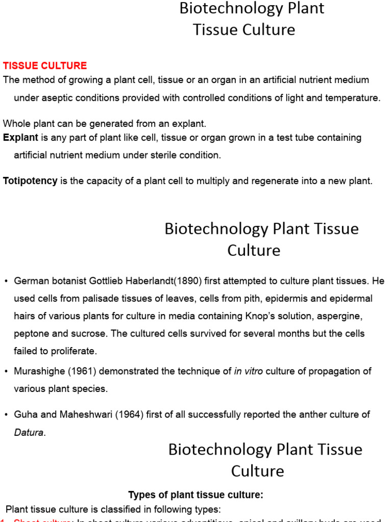 Plant Tissue Culture 1.Pptx | PDF | Seed | Root