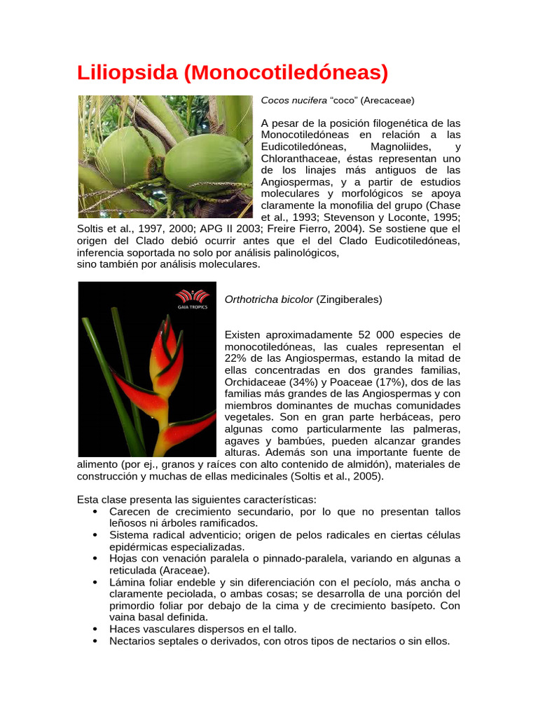 Familias Botanica Liliopsida Monoc | PDF | Flores | Arecaceae
