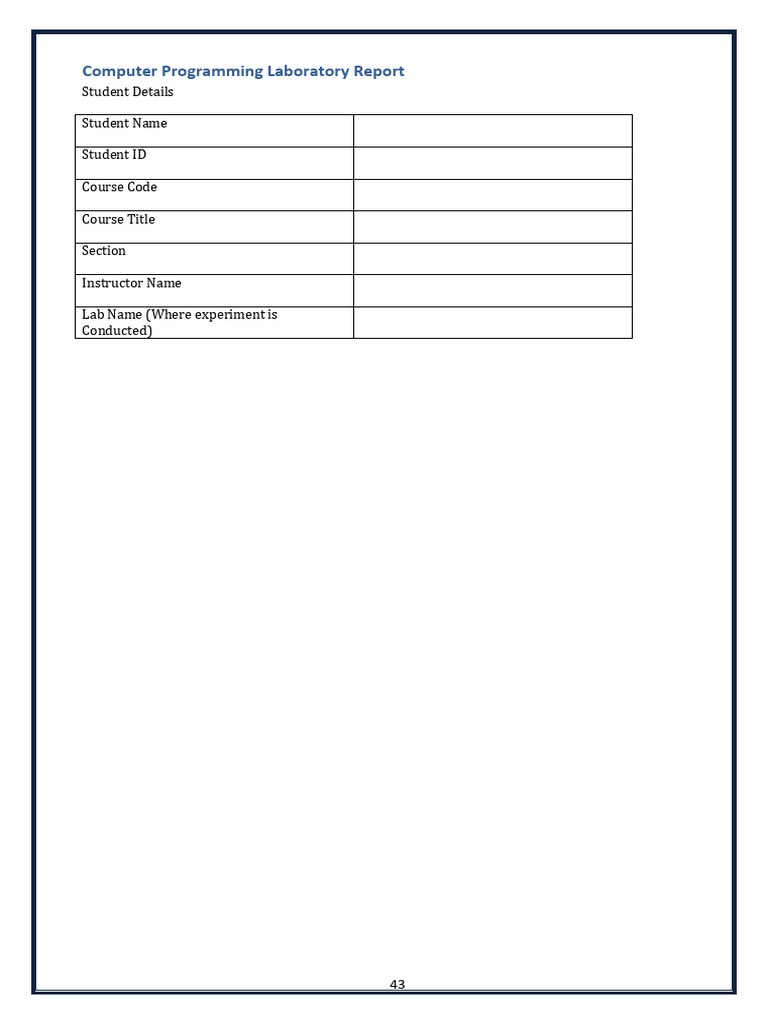 Computer Programming Laboratory Report | PDF