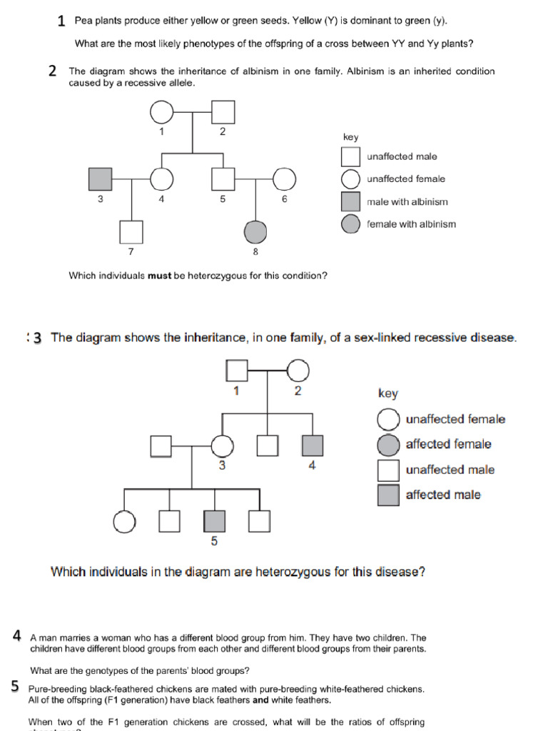 Inheritance Exercises | PDF