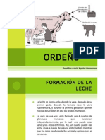 Fisicoquimica - La Ubre