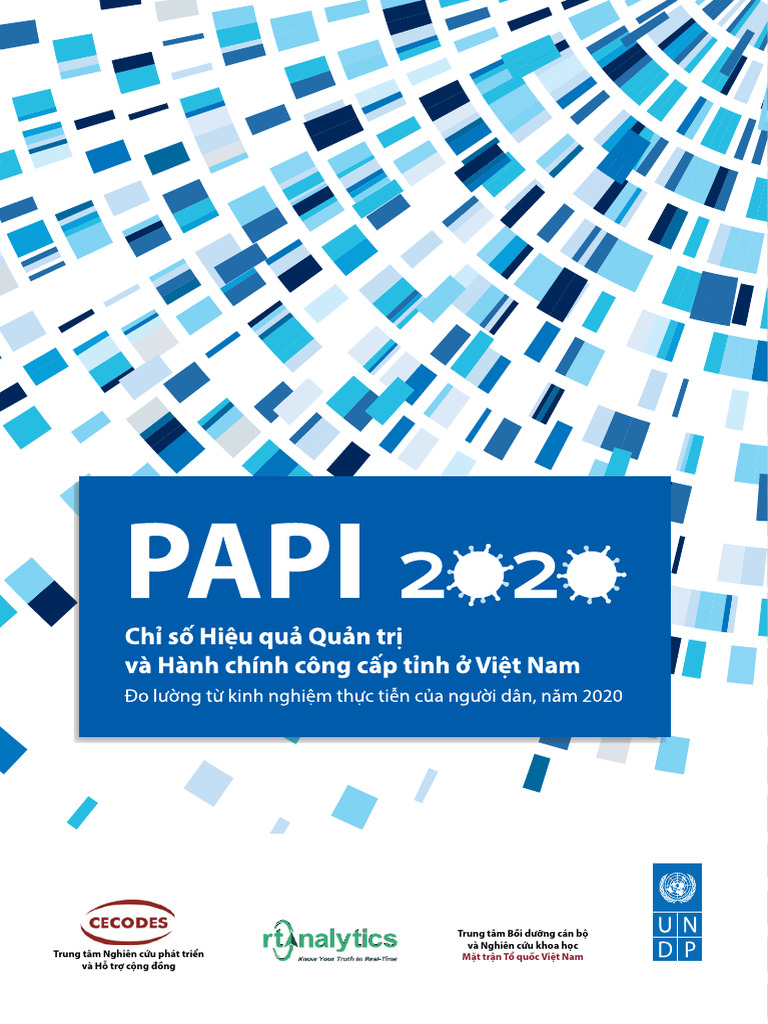 Papi 2020 Final Report Vn-2 | PDF