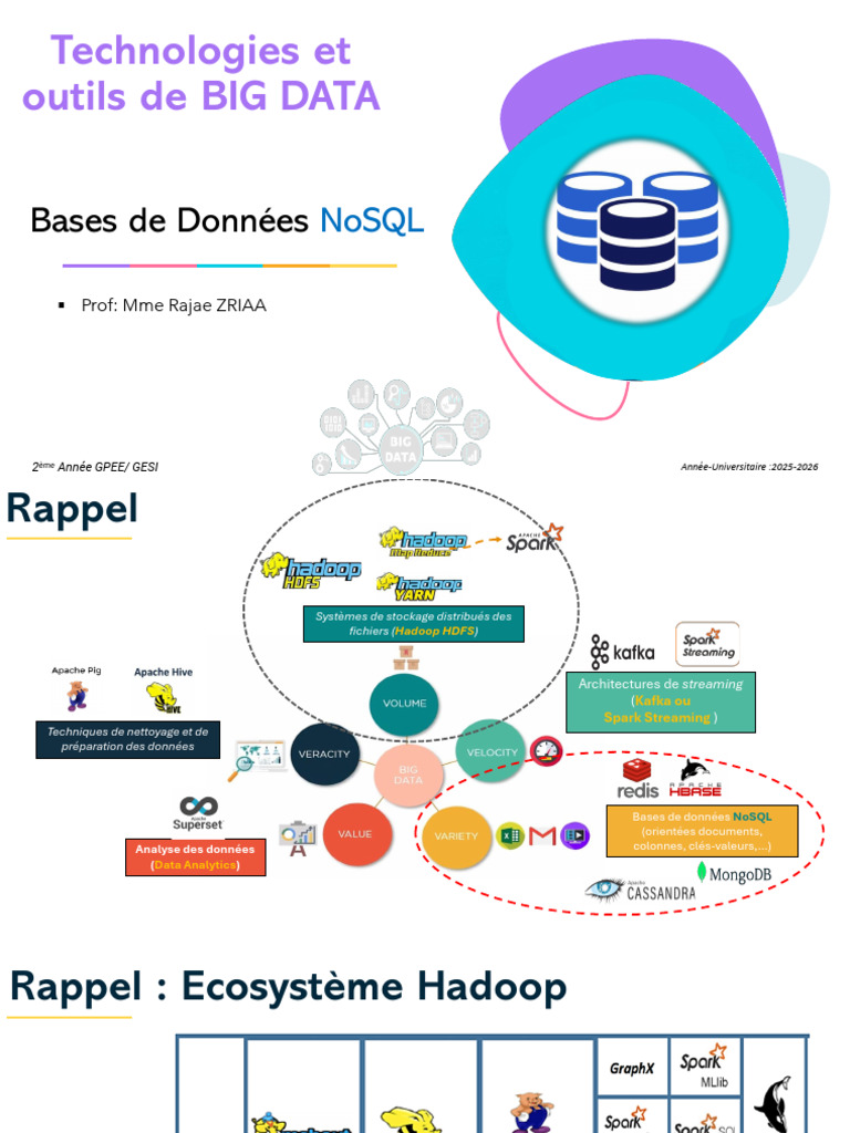 Cours 7-Gestion de Base de Données NoSQL - 251127 - 204234 | PDF