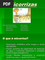 Micorrizas+ +Final