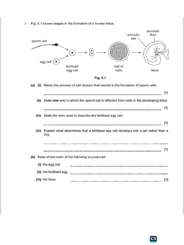 QA for Practice (Human Reproduction) | PDF