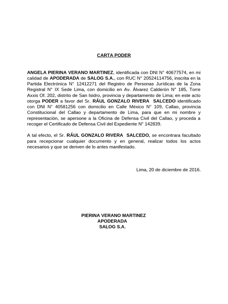 Carta Poder Raul Rivera-D.C. | PDF