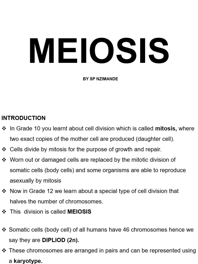 Meiosis Grade 12 | PDF | Meiosis | Chromosome
