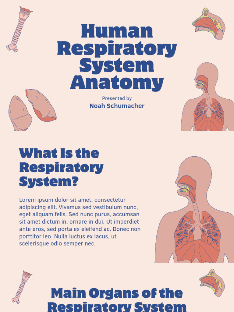Pastel Human Respiratory System Anatomy Presentation - 20260307 ...