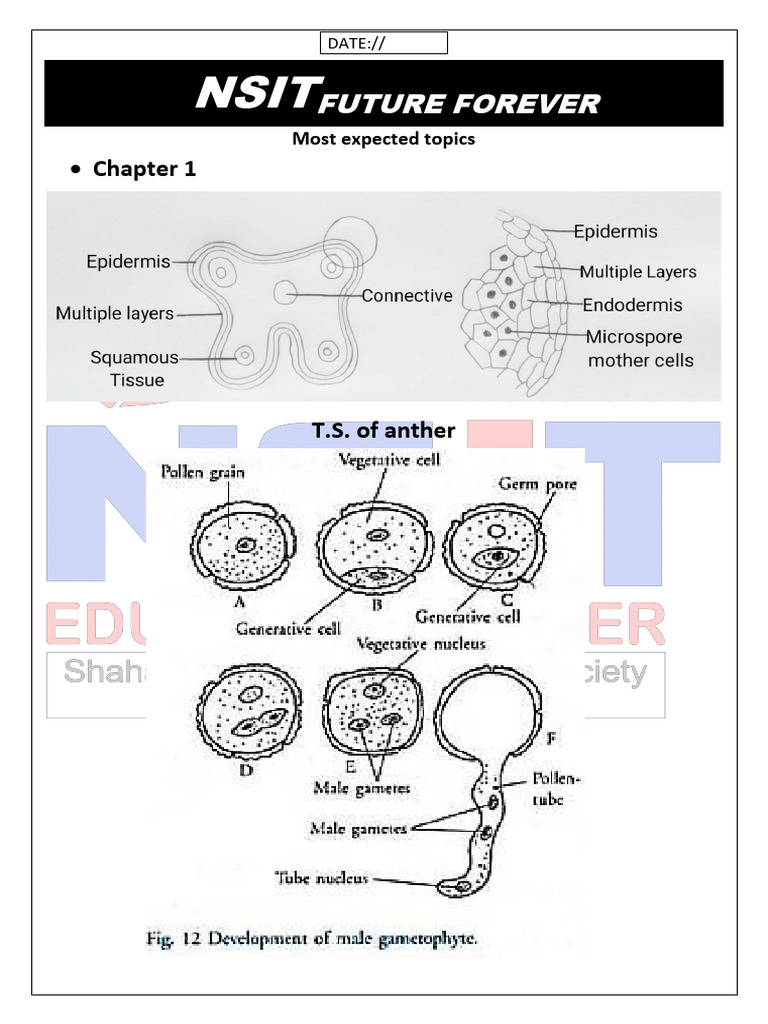 Bio Diagram | PDF