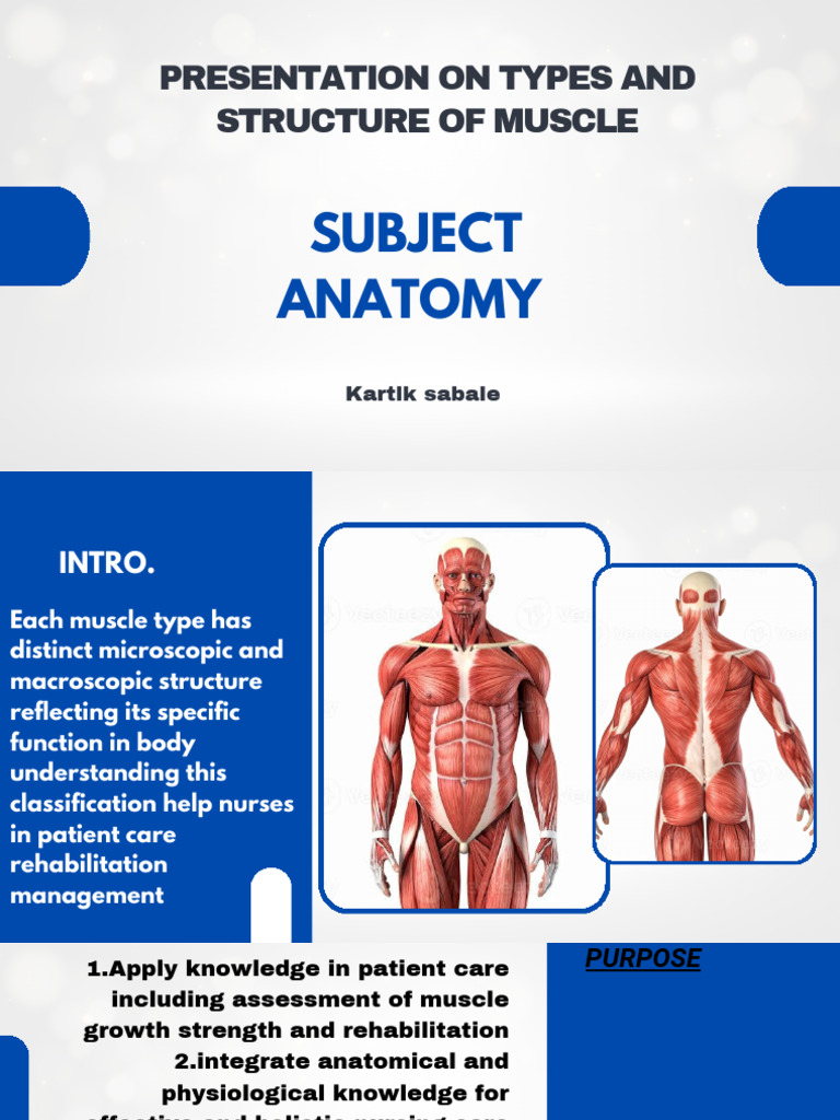 PresENTATION On Types and Structure of Muscle - 20260127 - 203655 ...