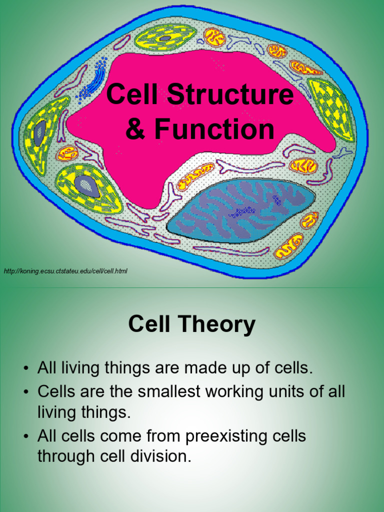 Cell Structure and Organelles | PDF | Cell (Biology) | Cell Nucleus