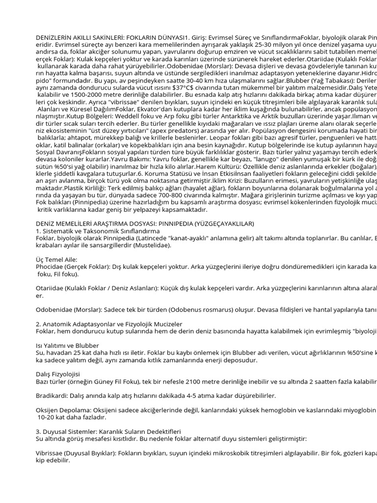 Yeni Metin Belgesi | PDF