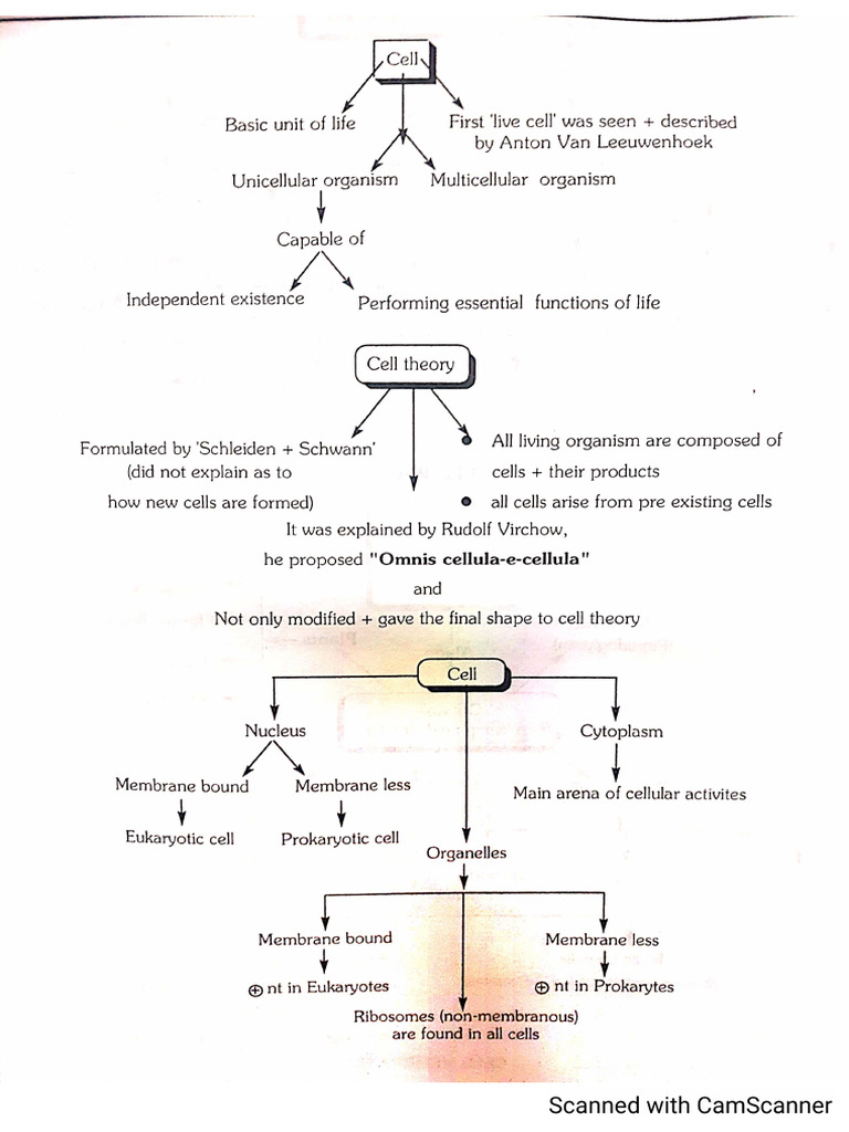 Cell Biology Short Notes NCERT | PDF