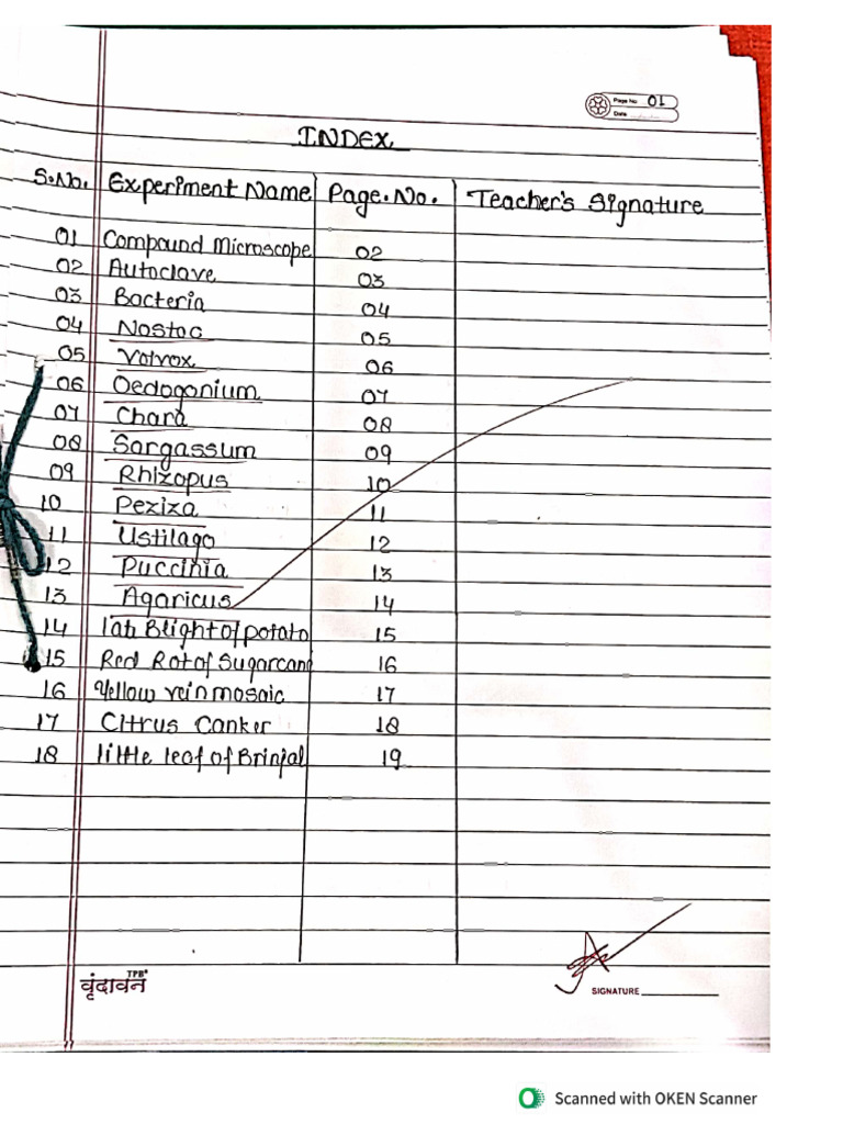 BSc MSc 1st Sem Botany Practical File | PDF