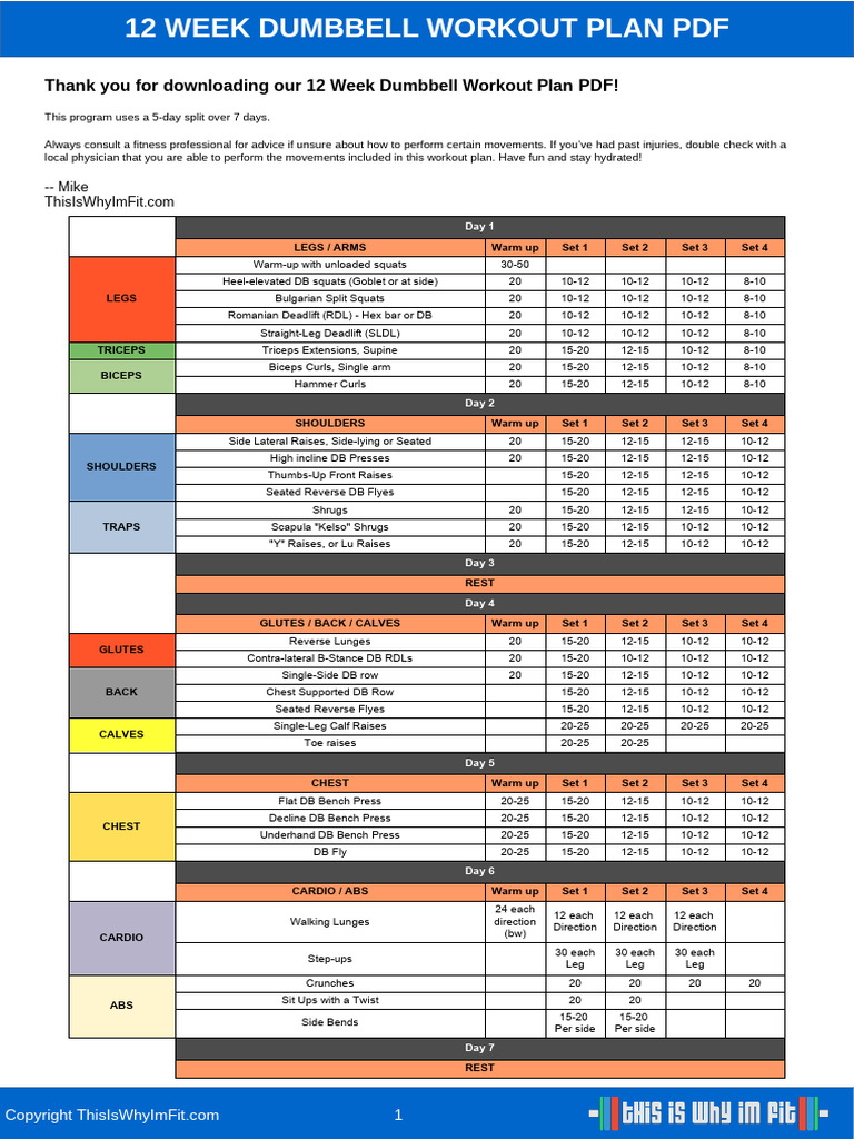 12 Week Dumbbell Workout Plan | PDF | Musculoskeletal System | Weight ...