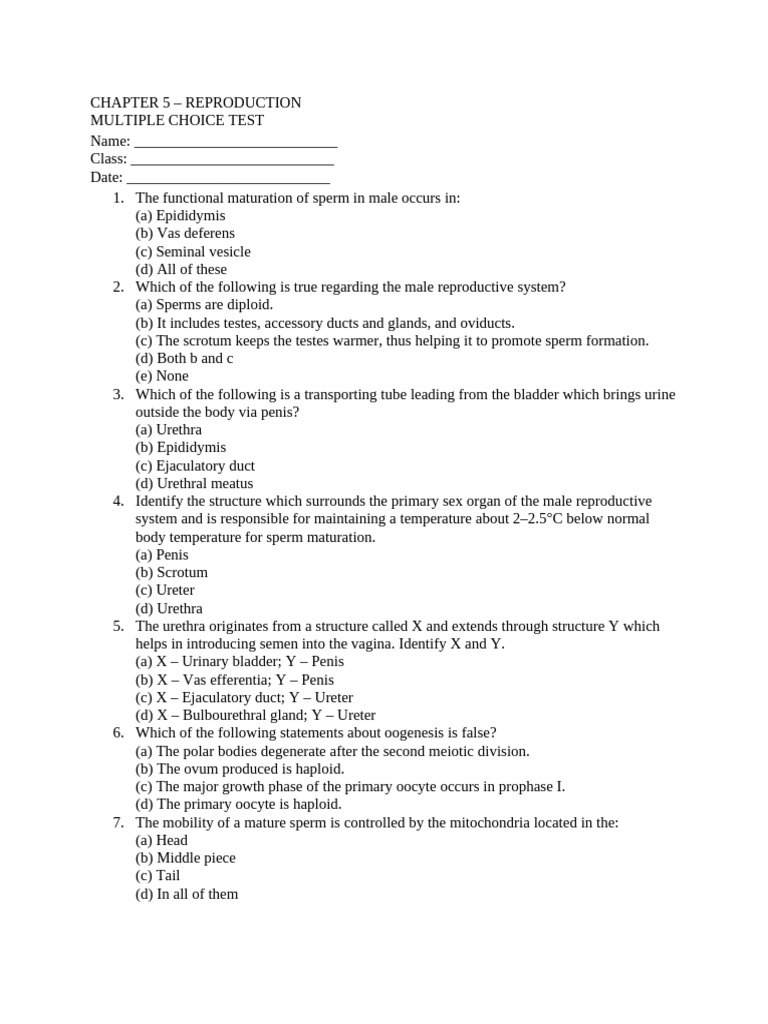 Chapter 5 Test Class 10 | PDF