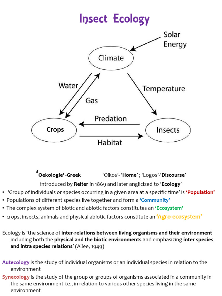 TYPED 4 Insect Ecolocgy Intro | PDF | Ecology | Ecosystem