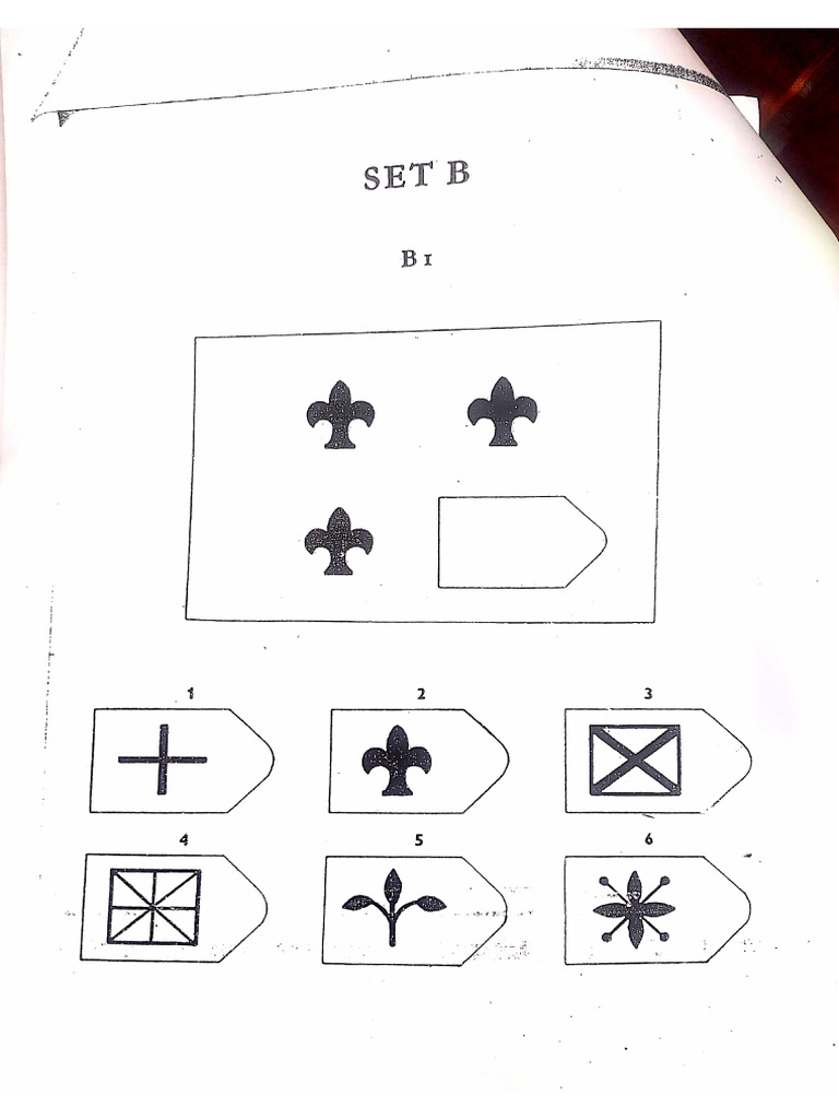 Ravena Matrices - Set B | PDF