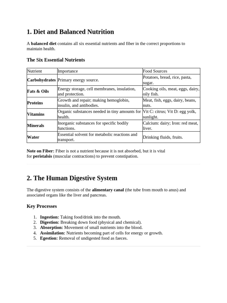 Ch.7 Notes | PDF | Digestion | Small Intestine