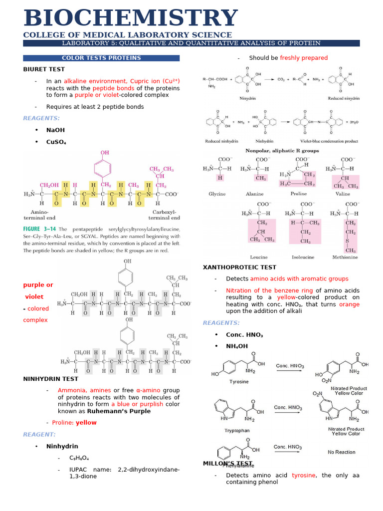 Color Tests Proteins | PDF