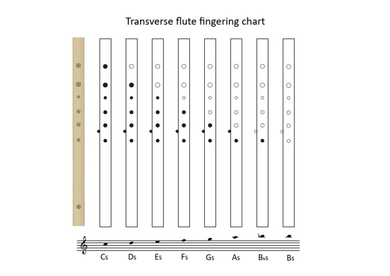 Transverse Flute Fingering Chart | PDF