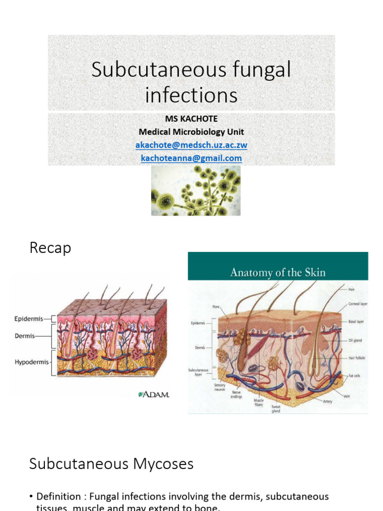 Subcutaneous Fungal Infections PDF | PDF | Microbiology | Human ...