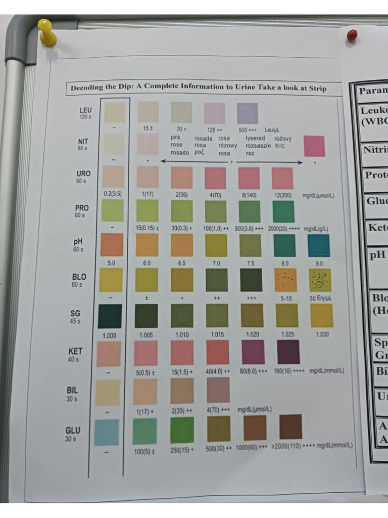 urine-analysis-using-dipstick-method-pdf