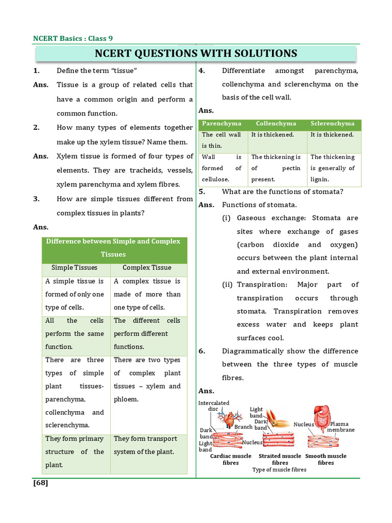 NCERT Question Exercise _ Solutions_ Tissndndnues (1) | PDF | Tissue ...