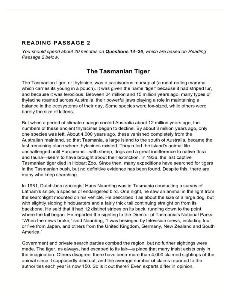 The Tiger | PDF
