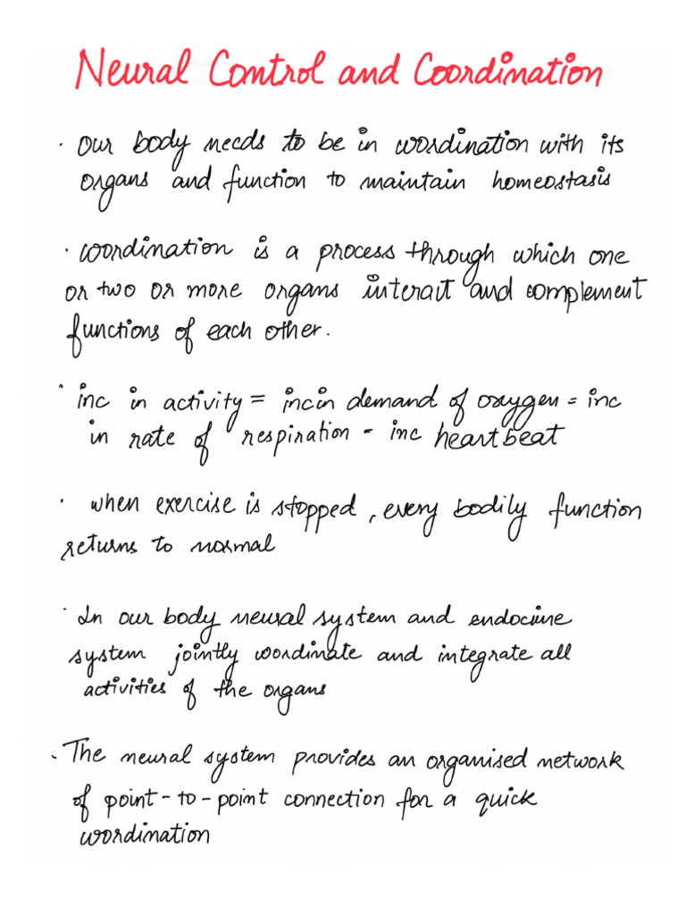 Neural Control and Coordination | PDF