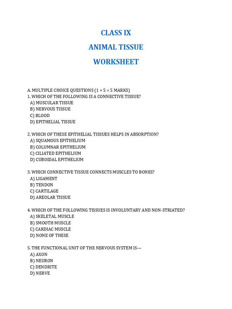 Class Ix Animal Tissue Worksheet Final | PDF