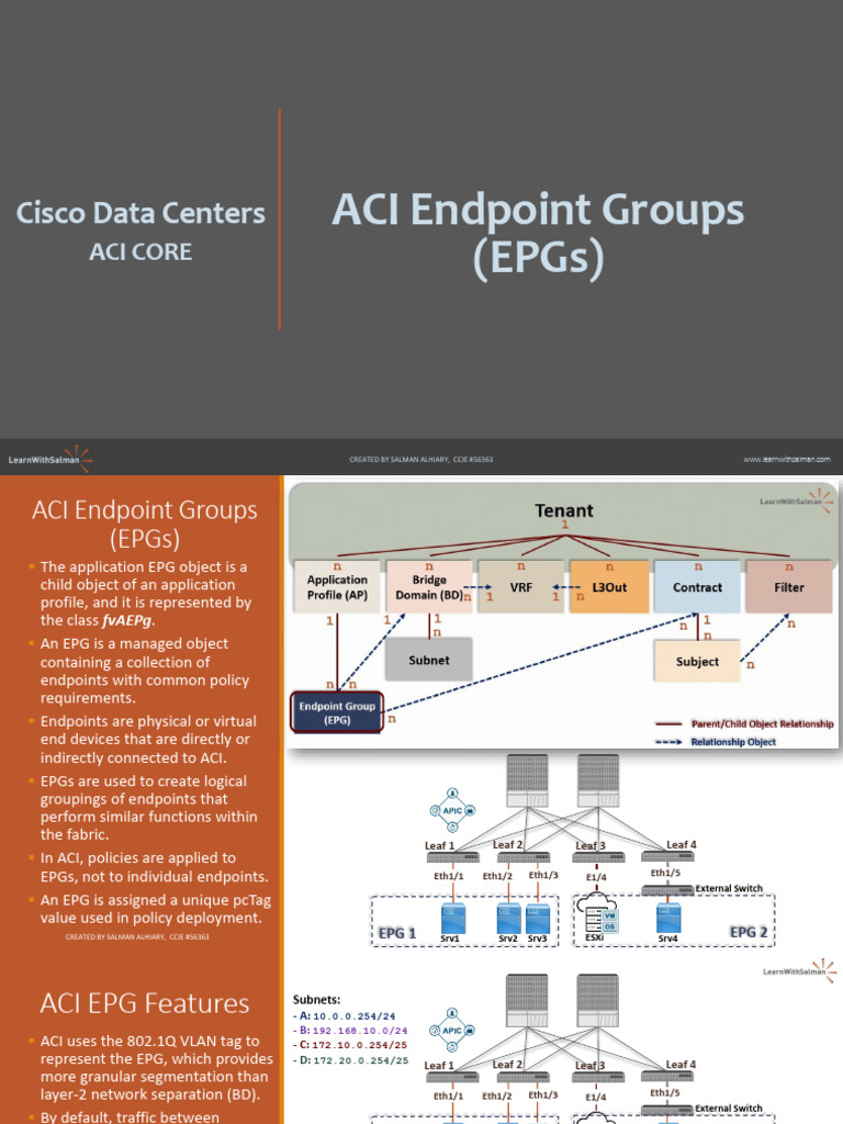 ACI Endpoint Groups (EPG) | PDF | Computer Science | Networks