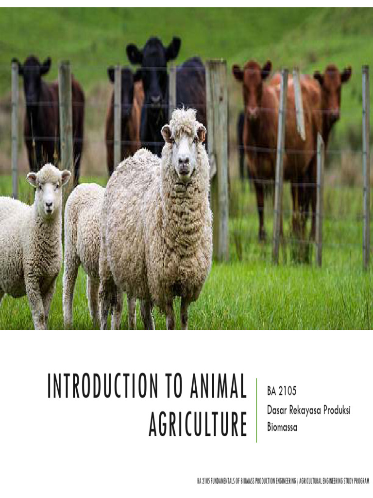 6. Introduction to Animal Agriculture | PDF | Agriculture | Livestock