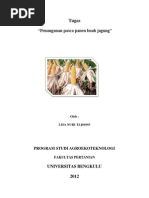Download Tugas Pasca Panen Jagung by Isa Nuri Ok SN100900341 doc pdf