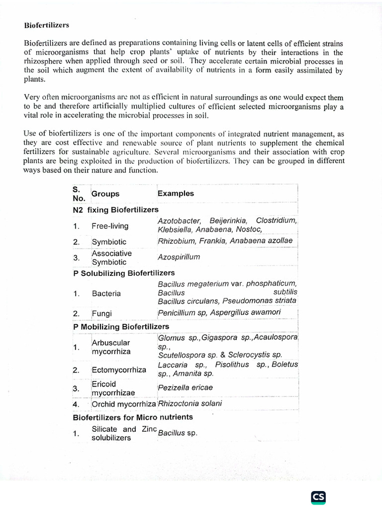 Biofertilizers. Ss Theory | PDF