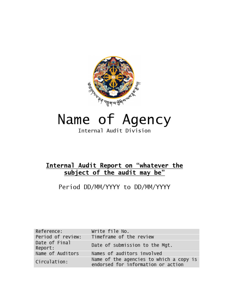 Template I A Report | PDF | Audit