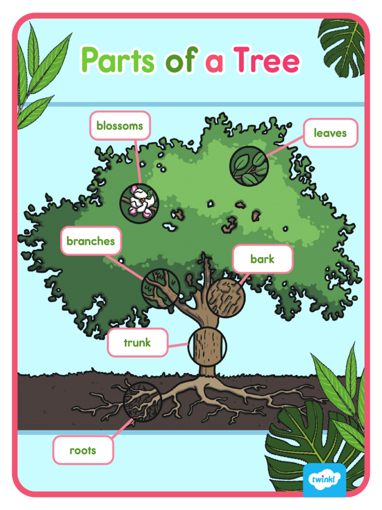 Color Parts of a Tree Posters for K-2nd Grade | PDF